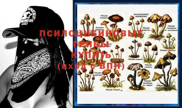 скорость Белокуриха