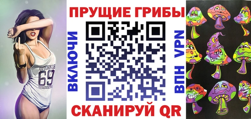 Галлюциногенные грибы Psilocybe  Купить закладки  Апшеронск 